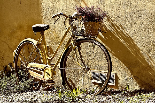 Womens Bike